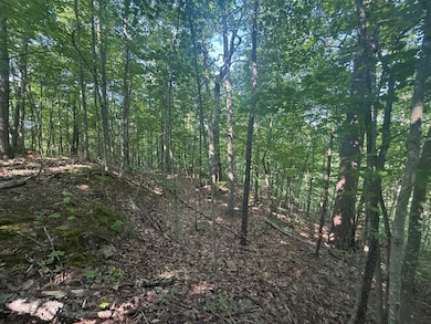 1 Sycamore Fork Rd, Salyersville, KY 41465 - photo 4