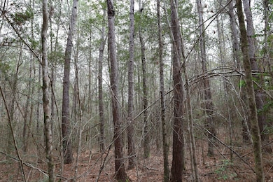 Tbd Hwy 29, Janice, MS 39425 - photo 2