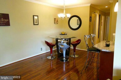 3706 N Rosser St unit 202, Alexandria, VA 22311 - photo 6