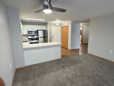 Powers Ridge Condominiums unit 203, Chanhassen, MN 55317 - photo 5