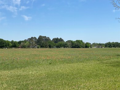 17806 Willow Run St, Hockley, TX 77447 - photo 5