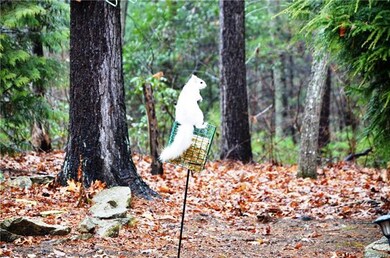 720 Salisbury Rd, Hendersonville, NC 28792 - photo 2