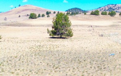 6232 C St # Rd 90, Lookout, CA 96054 - photo 4