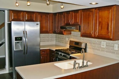 40 Sarahs Grove Ln, Schaumburg, IL 60193 - photo 6