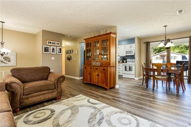 816 Hollywood Ave, Sheffield Lake, OH 44054 - photo 6