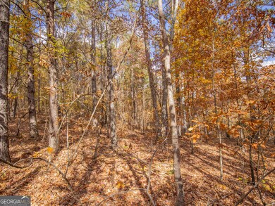 0 Galway Dr unit 10650912, Kingston, GA 30145 - photo 5