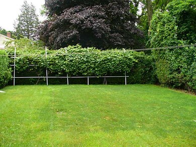 Yard/Garden.