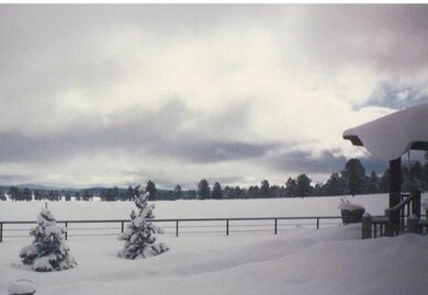 Winter Wonderland