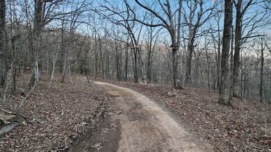 14642 Truelove Rd, West Fork, AR 72774 - photo 6