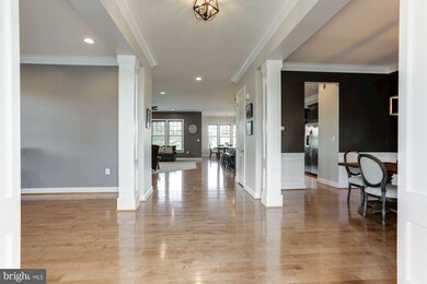 41713 Bloomfield Path St, Ashburn, VA 20148 - photo 7