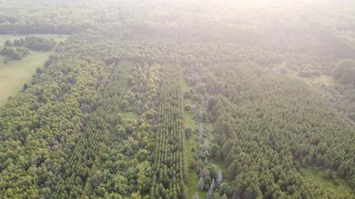 ON Pine Rd N, Tomahawk, WI 54487 - photo 6