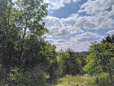 000 Shady Dr, Branson, MO 65616 - photo 3