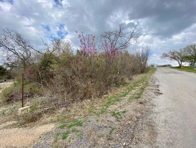 185 Lelon Ln, Springtown, TX 76082 - photo 7