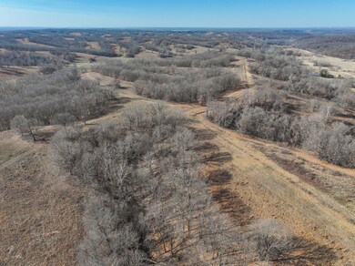DJI_20250128112627_0293_D