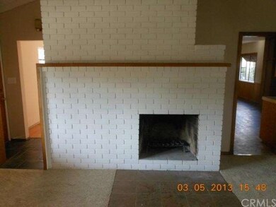 Fireplace in Family Room