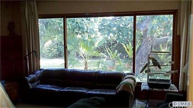 View of backyard