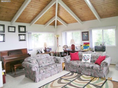 908 Upper Kimo Dr, Kula, HI 96790 - photo 3