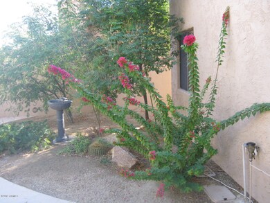 BACKYARD 2