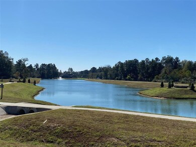 31118 Roanoke, Tomball, TX 77375 - photo 5