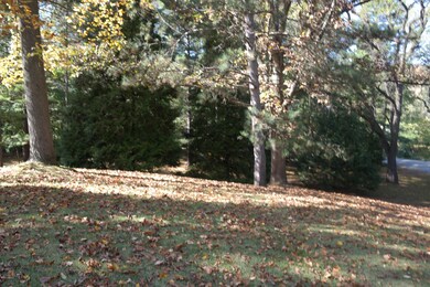 SAM_0347