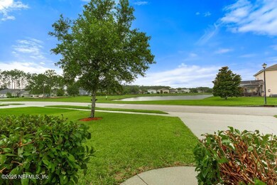 view of front yard