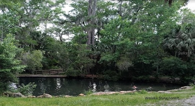 175 Park Ave, Interlachen, FL 32148 - photo 2