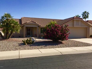 Large bougainvillea in front yard