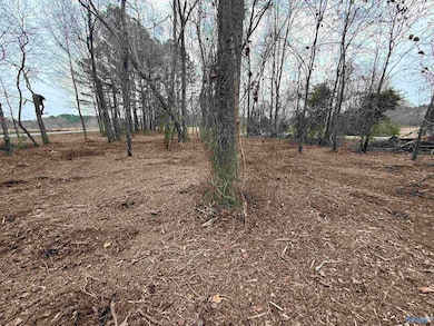 2.65 Acres Lester Dr, Boaz, AL 35957 - photo 2