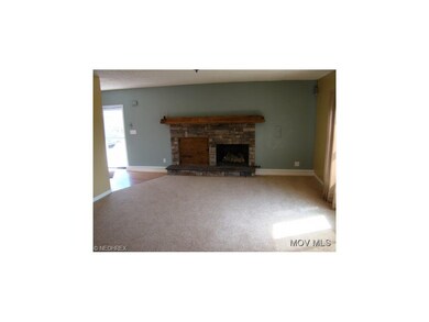 Family Room/Fireplace