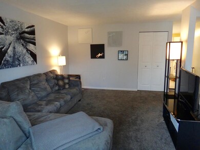 Livingroom with Storage Closet
