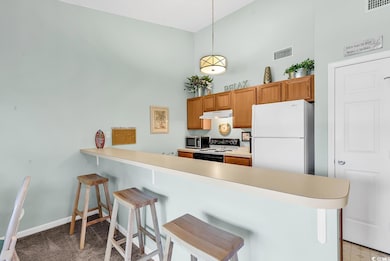 1230 White Tree Ln unit F, Myrtle Beach, SC 29588 - photo 5