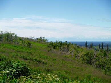 64965 Knob Hill Rd, Anchor Point, AK 99556 - photo 5