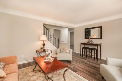 311 E 262nd St, Euclid, OH 44132 - photo 5