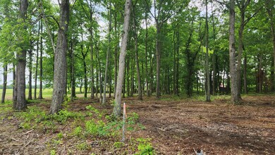 0 Fredonia Rd unit RTC2658009, Manchester, TN 37355 - photo 4