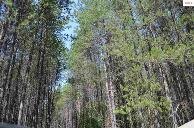 nna E Jensen Ln, Athol, ID 83801 - photo 5