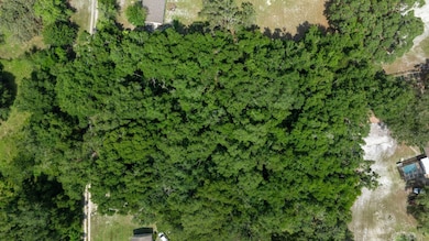 0 SW 141st Place, Dunnellon, FL 34432 - photo 4