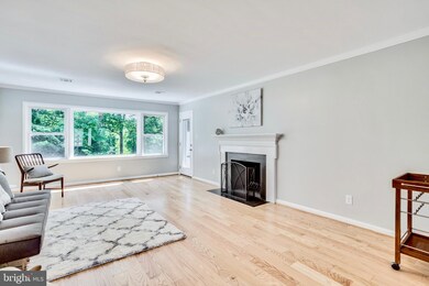 7419 Park Terrace Dr, Alexandria, VA 22307 - photo 5