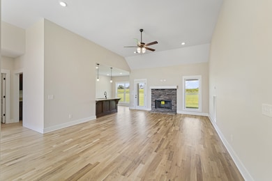 541 Clearview Rd, Cottontown, TN 37048 - photo 2