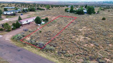 498 Snowflake Heights Blvd, Snowflake, AZ 85937 - photo 3