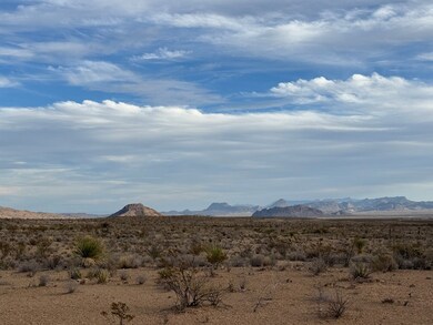 4838 Private Rd, Terlingua, TX 79852 - photo 7