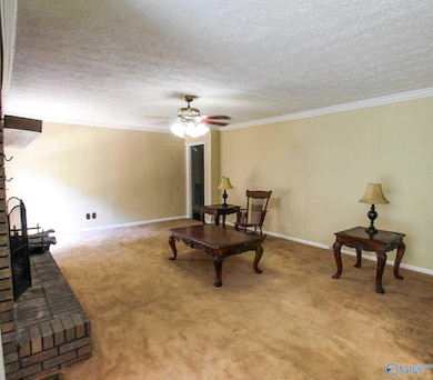 2466 Alabama 71, Dutton, AL 35744 - photo 7