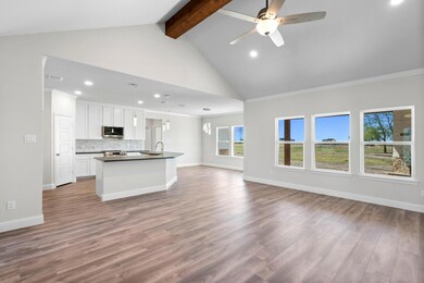 170 Jupiter Trail, Weatherford, TX 76088 - photo 3