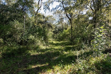 0000 County Road 611, Angleton, TX 77515 - photo 3