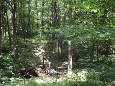 Walking trail