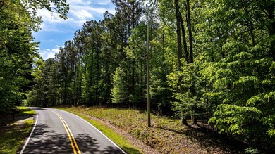 0 Apalachee Woods Trail unit 67734, Buckhead, GA 30625 - photo 7