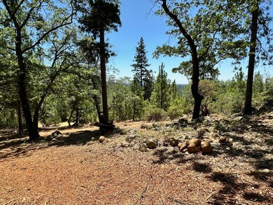 1870-Lot 406 E Summit View Dr, Meadow Vista, CA 95722 - photo 4