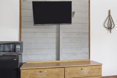 982 Indian Point Rd unit 214, Branson, MO 65616 - photo 3