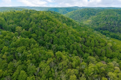 0 Red Bud Ln, Hilham, TN 38568 - photo 5