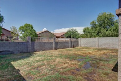 Good Sized Grass Yard!