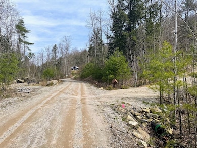 Lot 44-4 Bog Rd, Hillsborough, NH 03244 - photo 2